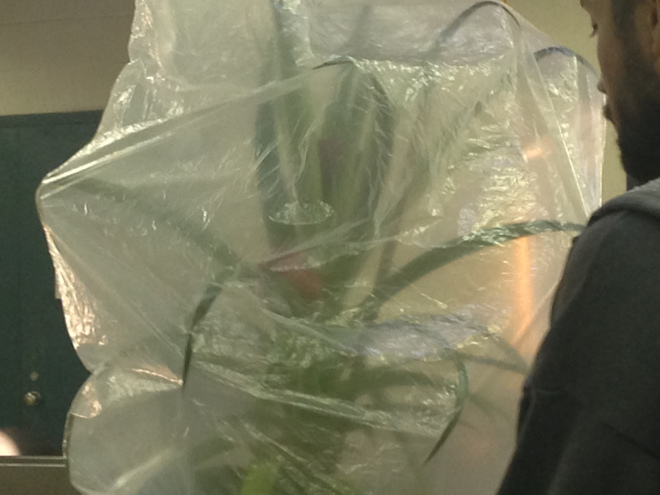 Horticulture Club