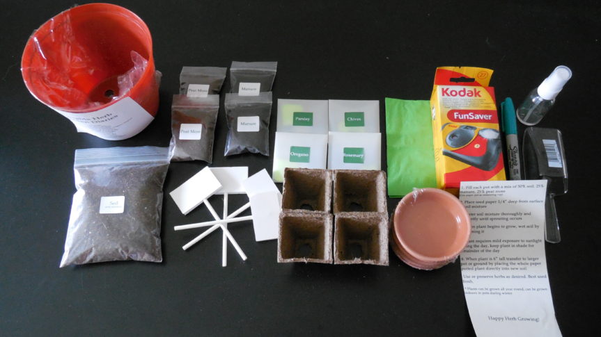 Portable Herb Garden Diaries – Katie Cheung