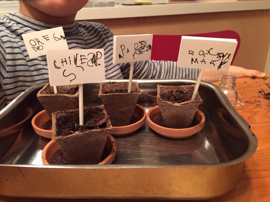 Planting the Herb Garden